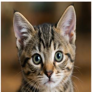 Praca konkursowa nr 2