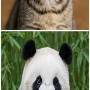 Praca konkursowa nr 5