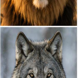 Praca konkursowa nr 6