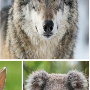 Praca konkursowa nr 9